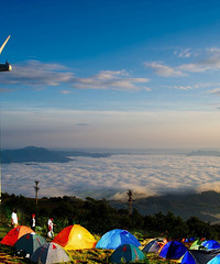 ��������ɽҰӪ����  �������