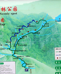 "磐安大皿村加灵江源景区,路遇采花大盗.满血复活图片已传"