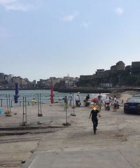 �������ռǡ�֮���벶����С�ǡ�