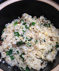 Լ���������ѣ����Ǵ���һö������ƿ��