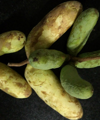 ��ʶ��ɽ���ʵ��