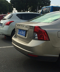 ������ֱ��