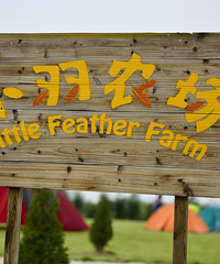 ���� С��ũׯ ������