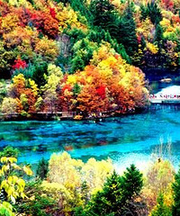 ��ɫ���� �λ������� ͯ�������կ��