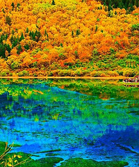 ��ɫ���� �λ������� ͯ�������կ��