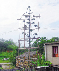 [��]54��ġ�«������ ��޷6�׶��