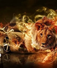 [����]�ڰ˽�̨�ݹ��ʳ�չ�ι�ָ��