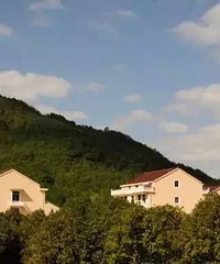 ������С֥��᮴��Ȼ��������Щ���ܣ�