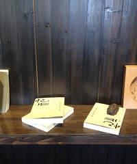 �Ի�С���¥��������