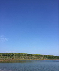 �����տ�Ҫ����ʮ��̯��