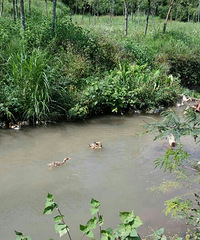 ժ⨺��� ����ɽ������