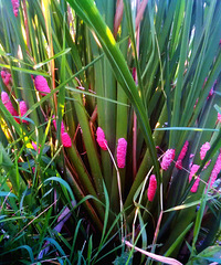 һ�������ڿ�������