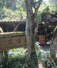 ��������֮һ���졢��Х�ҡ���Ů��