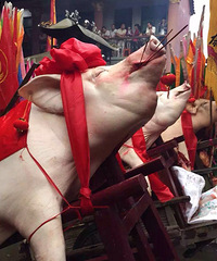 ������������ͷϷ���ȴ���