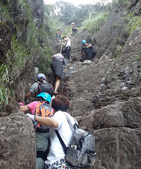 ���۱��Ϲ�����