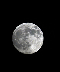 2015����Բ��,�ڼ�¥������Ҳ����