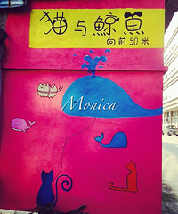 让我们来一场“猫与鲸鱼”的邂逅,可好?