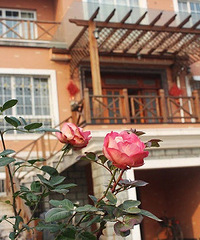 ũ���Խ�400ƽ��լ