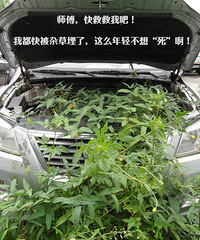 ���ĵ�ʮһ�� ʦ����Ⱦ��Ұ�