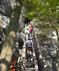 ����ڻ���ɽһ����