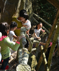 �������ų�һ����