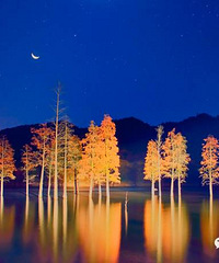 [�ɾ���]����ȫʡ��������ɫ����ɭ��ʾ����