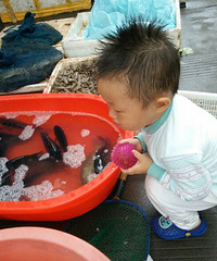 ����Я��������