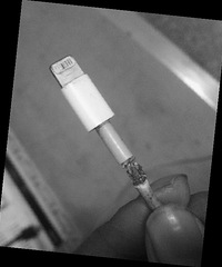 ԭװ��ɽկ������ ����