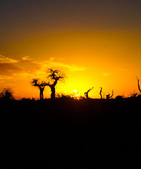 �ܿ��߷壬10��12�ն�����������֮����һ�����