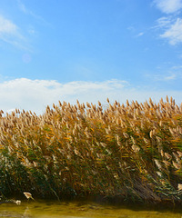 �ܿ��߷壬10��12�ն�����������֮����һ�����