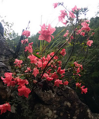 ���ʯ��Ͽ���羰��һ��