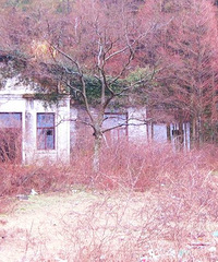 10��5�� ����Ͽɽ ����¶Ӫ