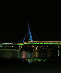 ҹɫ�µ���������