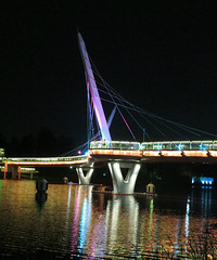 ҹɫ�µ���������