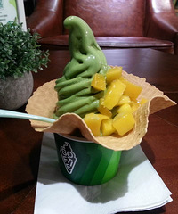 ˪���ң����ڻ����̲�ס��ȥ������