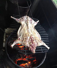 �Ϫ�� -�����˼ң�С����