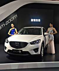 ��չ����