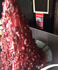 ���籦�磡�����˵���������Ժܷ�ʢ��