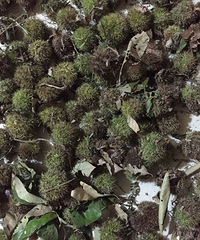 ����������--��������