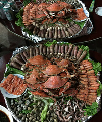 ���ƺ��ʴ�ͣ���ʳ�ĵ����ʹ��ֹ�