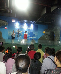 �������ռǡ�+��ϧÿһ���������С�����