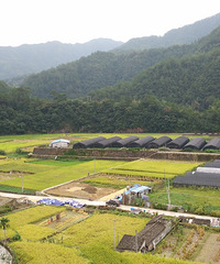 ���ƴ���ɽ~��ͷկ��