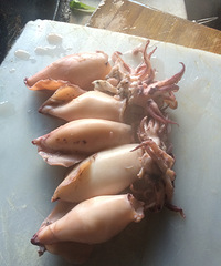 ��պ���㣬�Ҿͼ��˼����Ӷ���