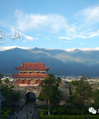 �����μ�-15���г̼�����������ɫ��ζ��