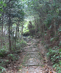 �Ƕ���֮��-����ɽ��