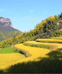 10��17�������������ǰ���ͳ�ǰ����̨