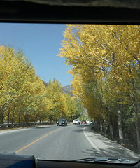 ������ǰ��Ը���ຣ�������