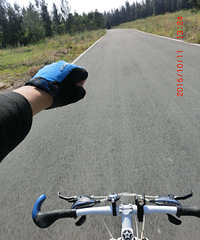 �����ҹ䵽��������