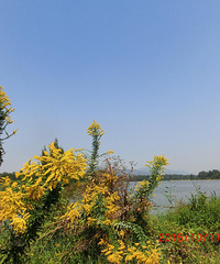 �����ҹ䵽��������