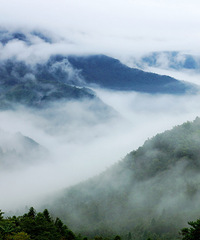 ��Ŀɽ����ɹ��ͼ